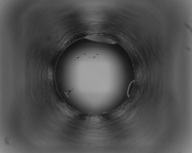 X0000093360282200710191103