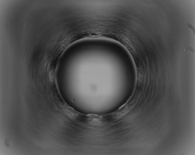 X0000093360285200710191103