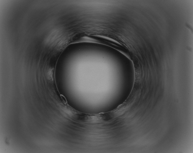 X0000093360286200710191103