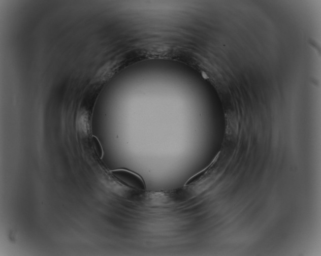 X0000093360287200710191103