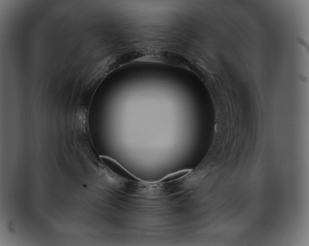 X0000093360288200710191103