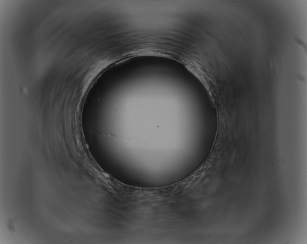 X0000093360289200710191102