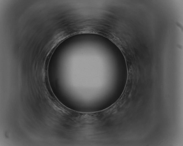 X0000093360290200710191102