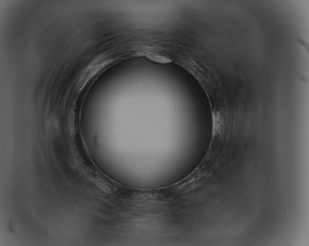 X0000093360291200710191102