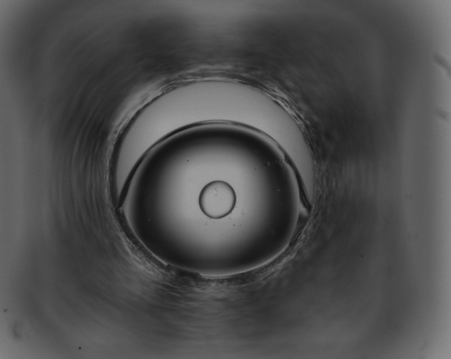 X0000093360293200710191102
