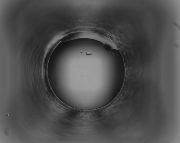 X0000093360294200710191102