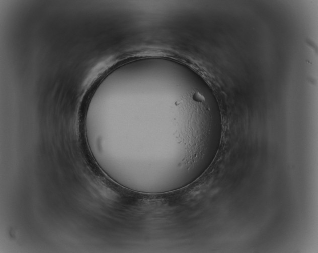 X0000093360296200710191102