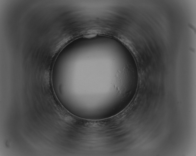 X0000093360297200710191102