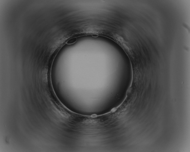 X0000093360299200710191102