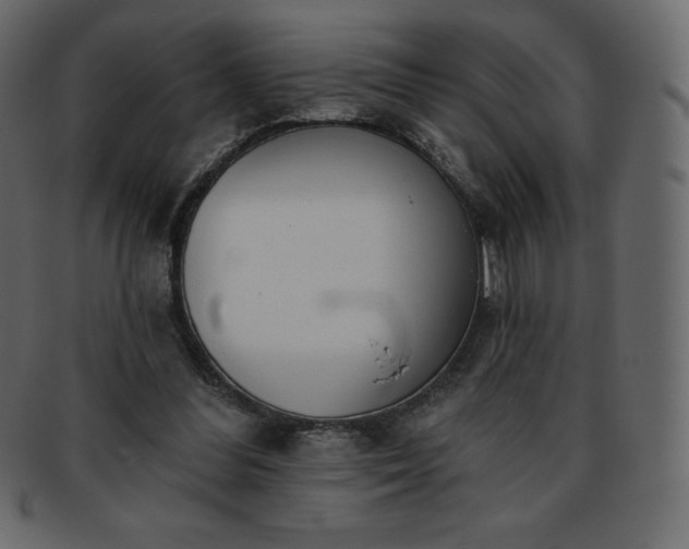 X0000093360300200710191102