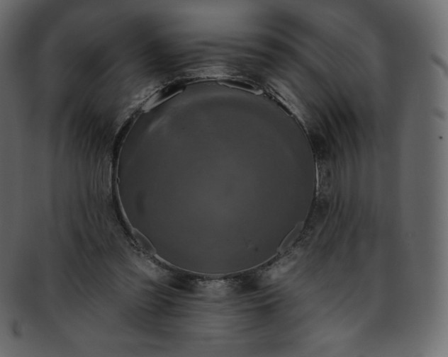X0000093360301200710191102