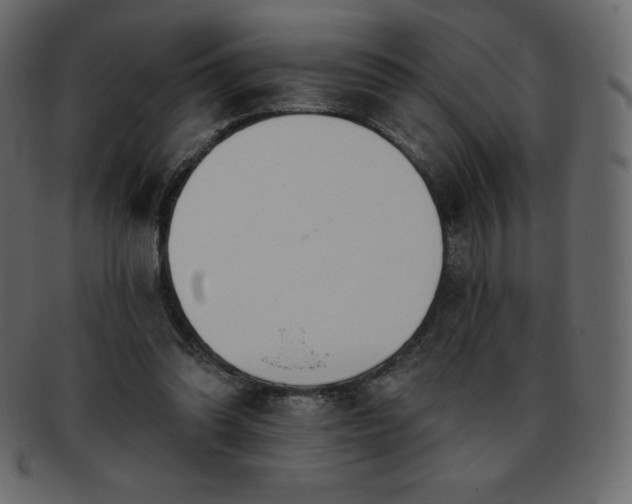 X0000093360302200710191102