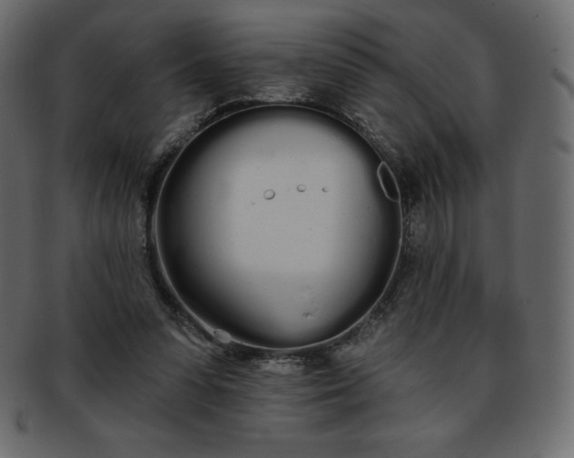 X0000093360303200710191102