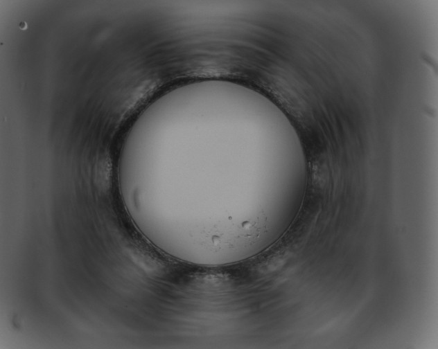 X0000093360304200710191102