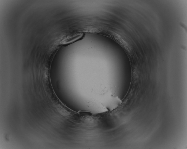 X0000093360305200710191102