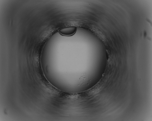 X0000093360306200710191102