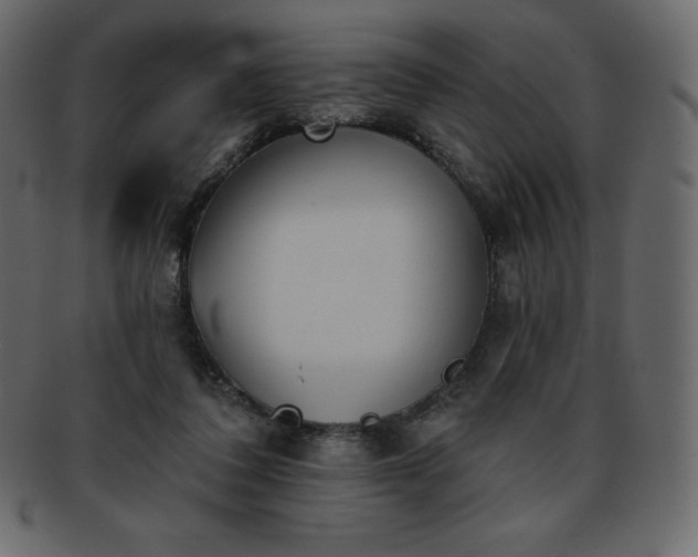 X0000093360308200710191102