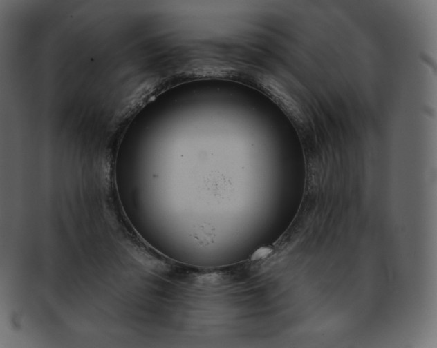 X0000093360309200710191102