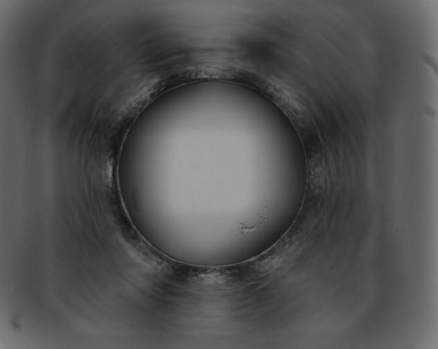 X0000093360310200710191102