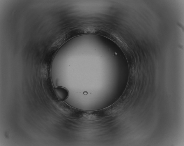 X0000093360311200710191102