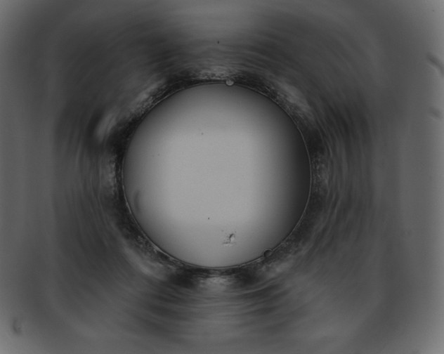 X0000093360312200710191102
