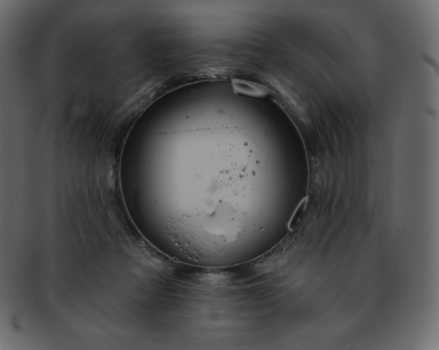 X0000093360313200710191102
