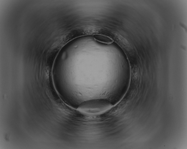 X0000093360315200710191102
