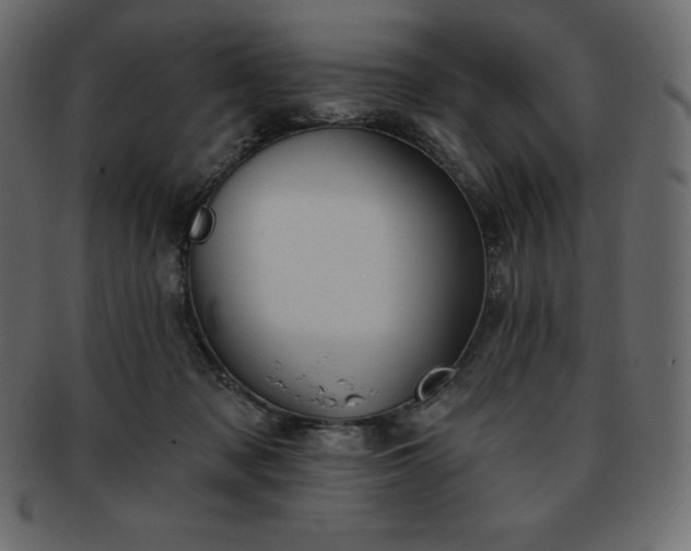 X0000093360317200710191102