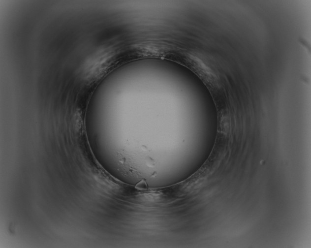 X0000093360318200710191102
