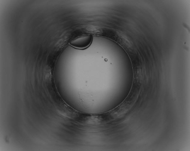 X0000093360320200710191102
