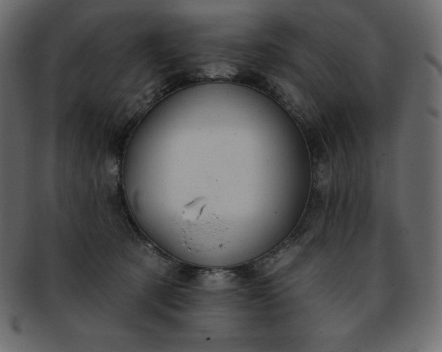 X0000093360321200710191102