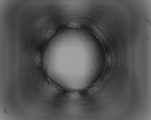 X0000093360322200710191102
