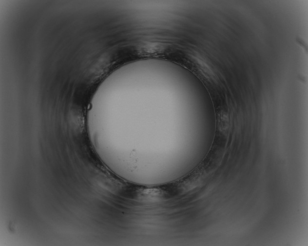 X0000093360324200710191102