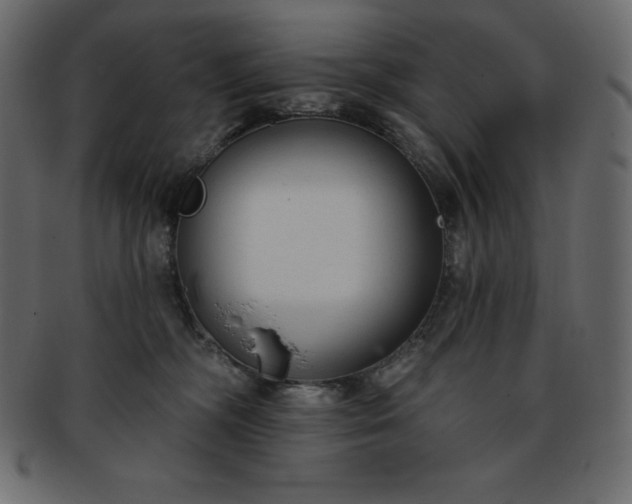 X0000093360326200710191102