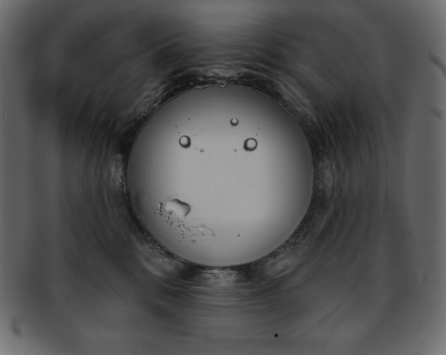 X0000093360328200710191102