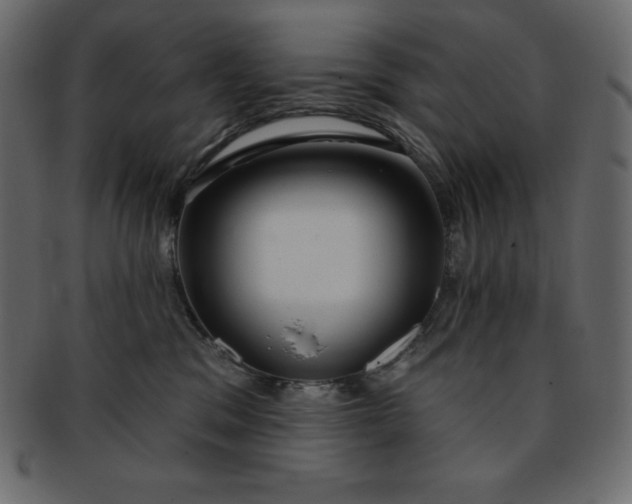 X0000093360329200710191102