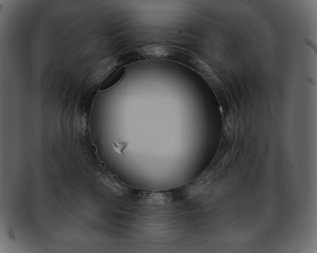 X0000093360330200710191102
