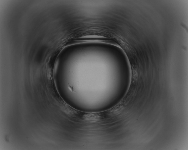 X0000093360331200710191102