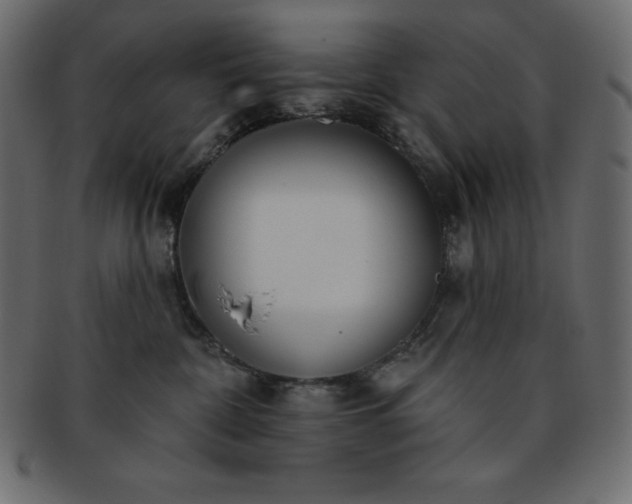 X0000093360332200710191102