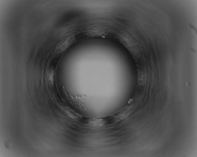 X0000093360334200710191102