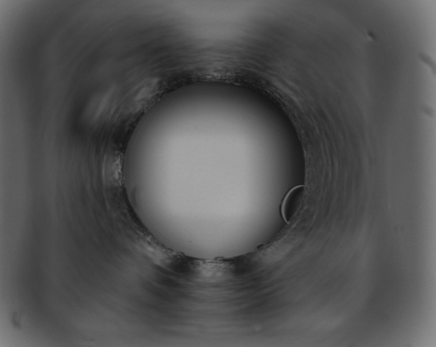 X0000093360336200710191102