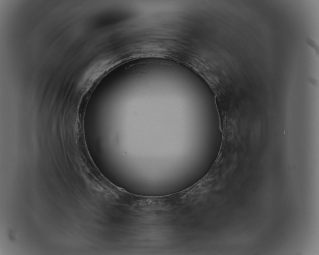 X0000093360338200710191101