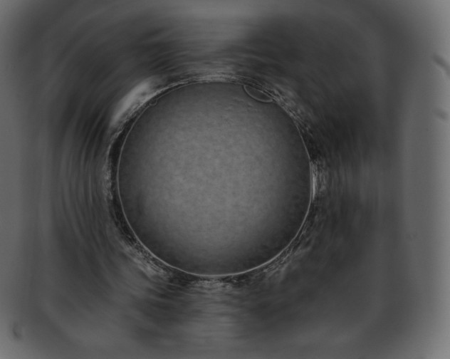X0000093360339200710191101