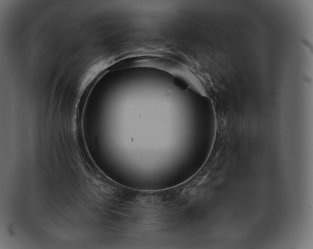 X0000093360340200710191101