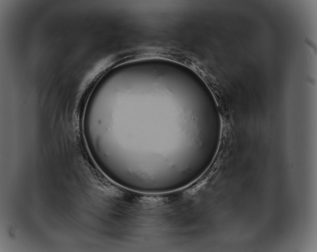 X0000093360343200710191101