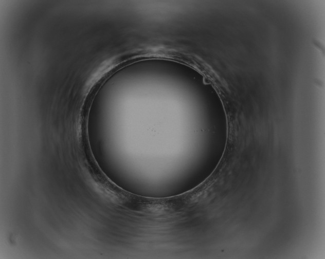 X0000093360344200710191101