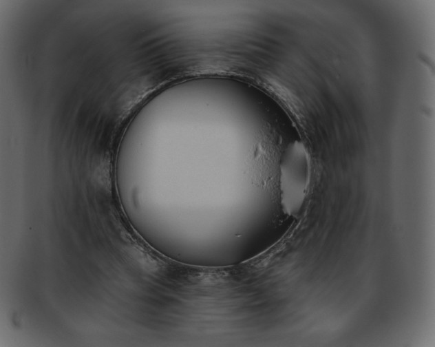 X0000093360345200710191101