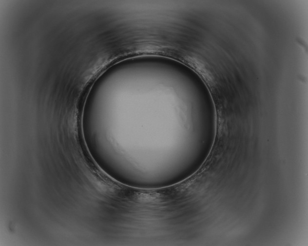 X0000093360346200710191101