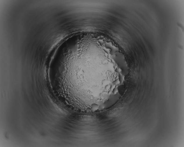 X0000093360347200710191101