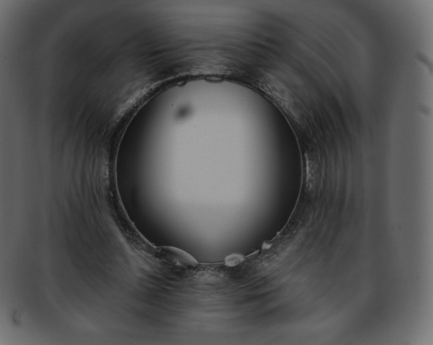 X0000093360348200710191101